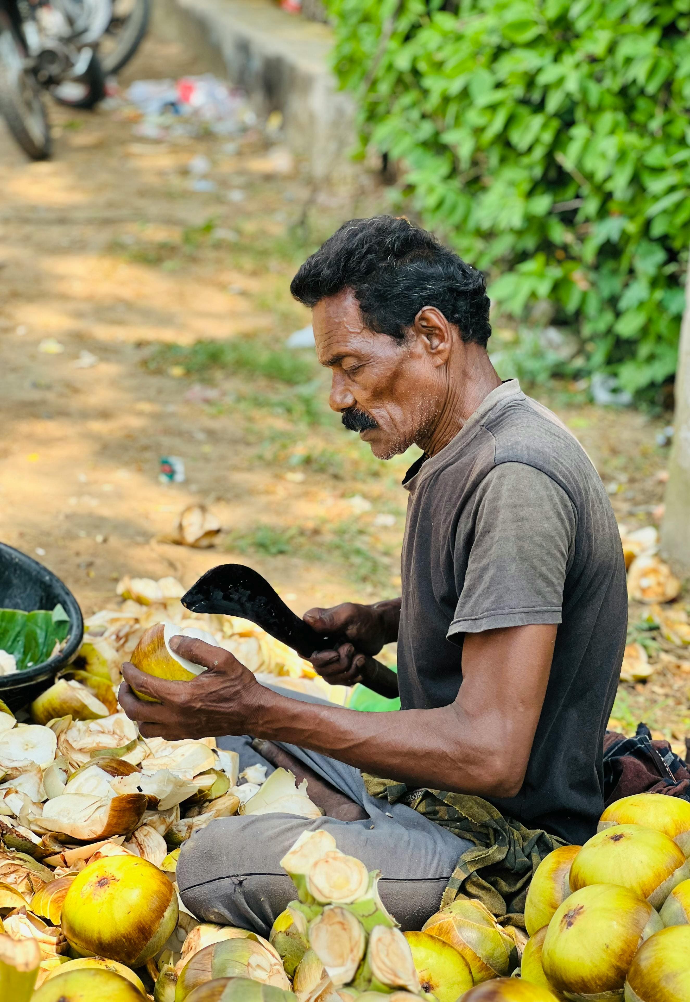 picture of a traditional Tamil drinking coconut water called elineer