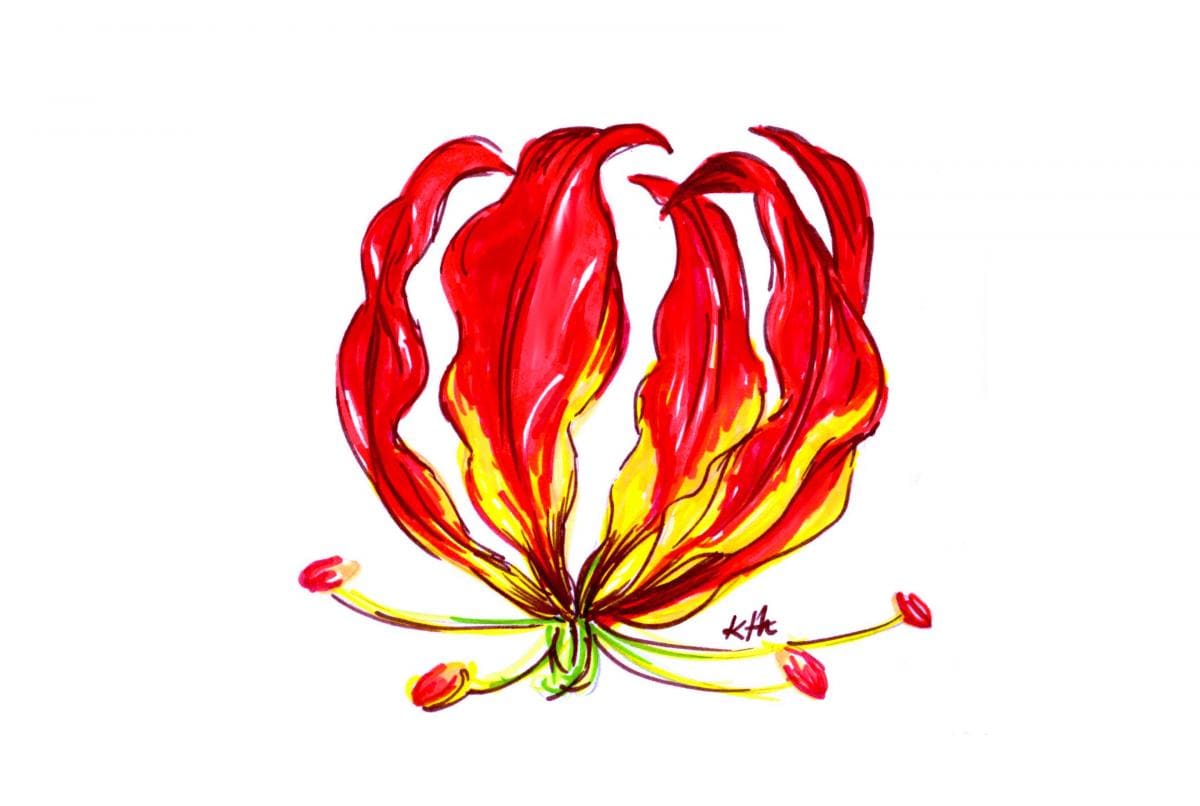 Picture of Tamil Eelam Karthiykai Flower